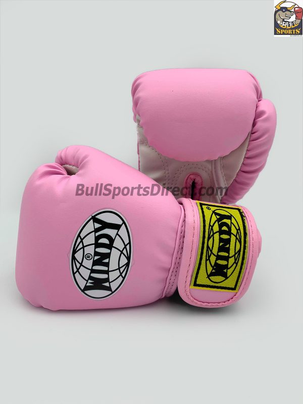 Windy Boxing Gloves BGVH+K Pink