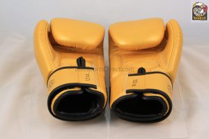Fairtex BGV1 Falcon Boxing Tight-Fit Design