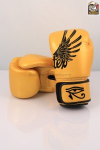 Fairtex BGV1 Falcon Boxing Gloves