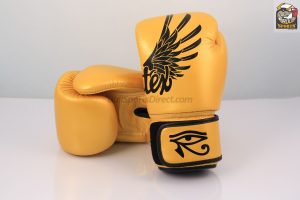 Fairtex BGV1 Falcon Design Boxing Gloves
