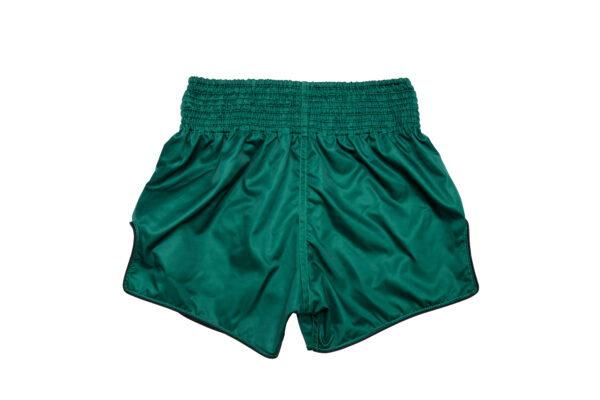 Fairtex BS1913 Competition Shorts Tonna