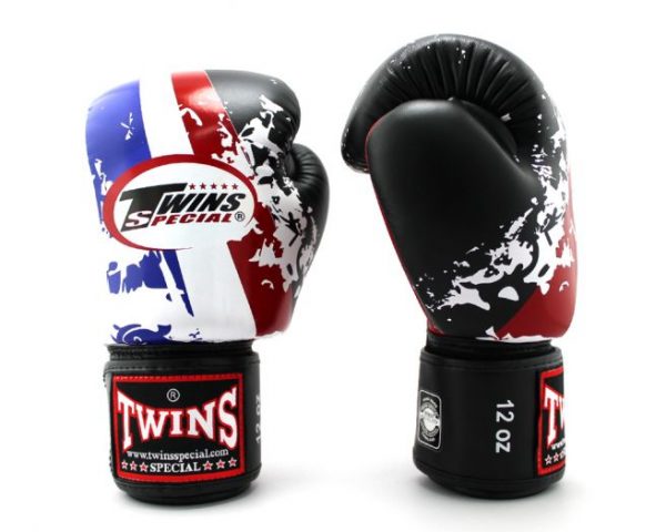 Twins Special Fancy Boxing Gloves FBGV-44 Thai Flag
