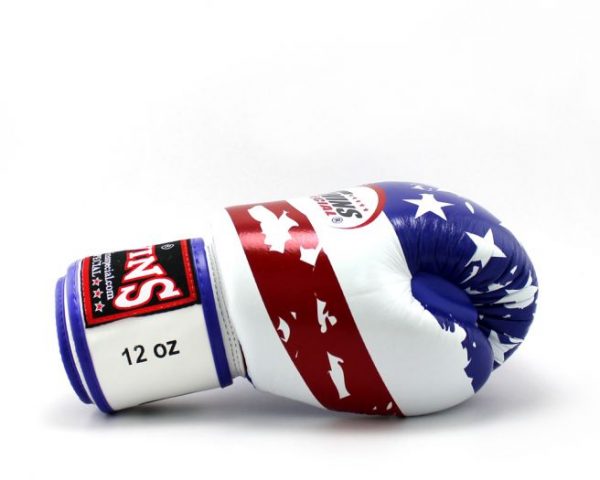 Twins Boxing Gloves FBGV-44 United States (US) Flag Design