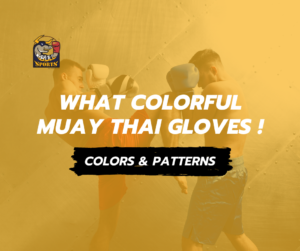 What Colorful Muay Thai Gloves!