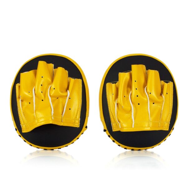 Fairtex FMV15 Focus Mitts Black Gold