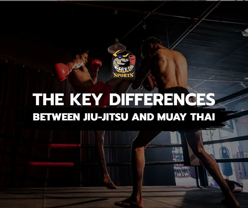 The Key Differences Between Jiu-Jitsu and Muay Thai