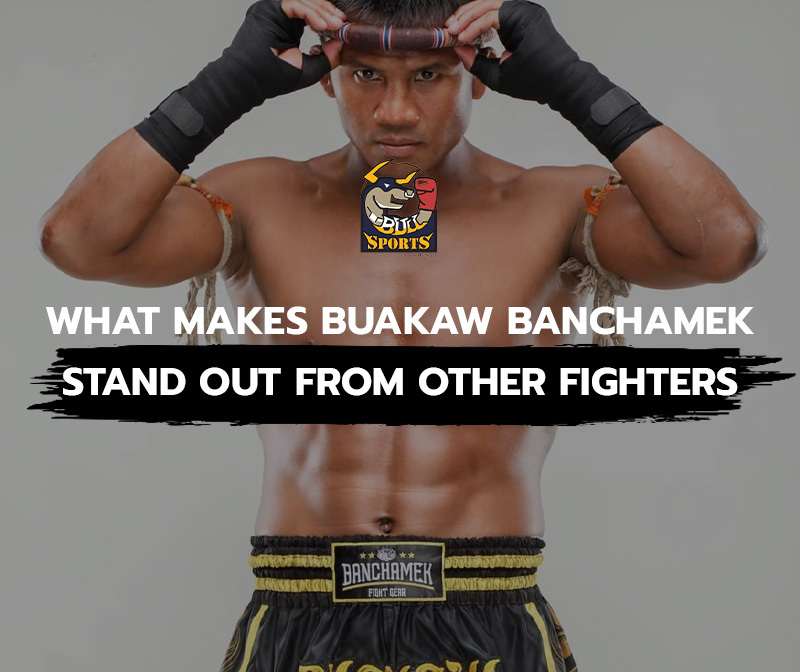 What Makes Buakaw Banchamek Stand Out from Other Fighters