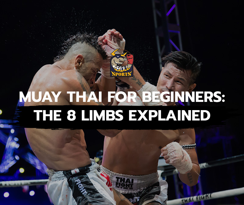 Muay Thai for Beginners The 8 Limbs Explained