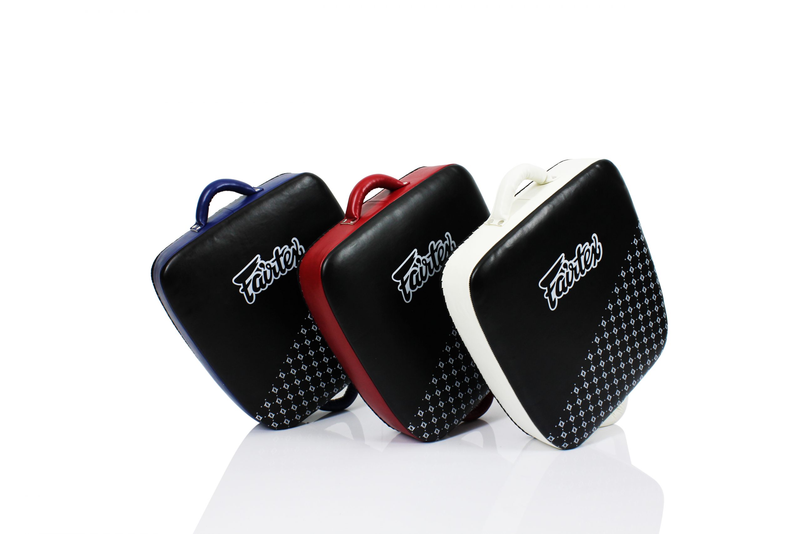LKP1-ALL1.jpg Fairtex-Leg Kick Pad, a.k.a. The "Thai Suitcase"-LKP1 - Image 1