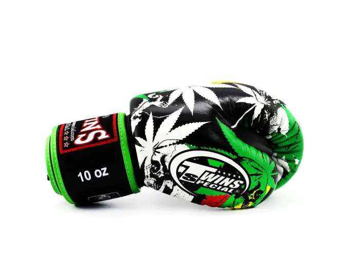 Twins Boxing Gloves-FBGV54 (1) Twins Boxing Gloves-FBGV54-Grass Collection
