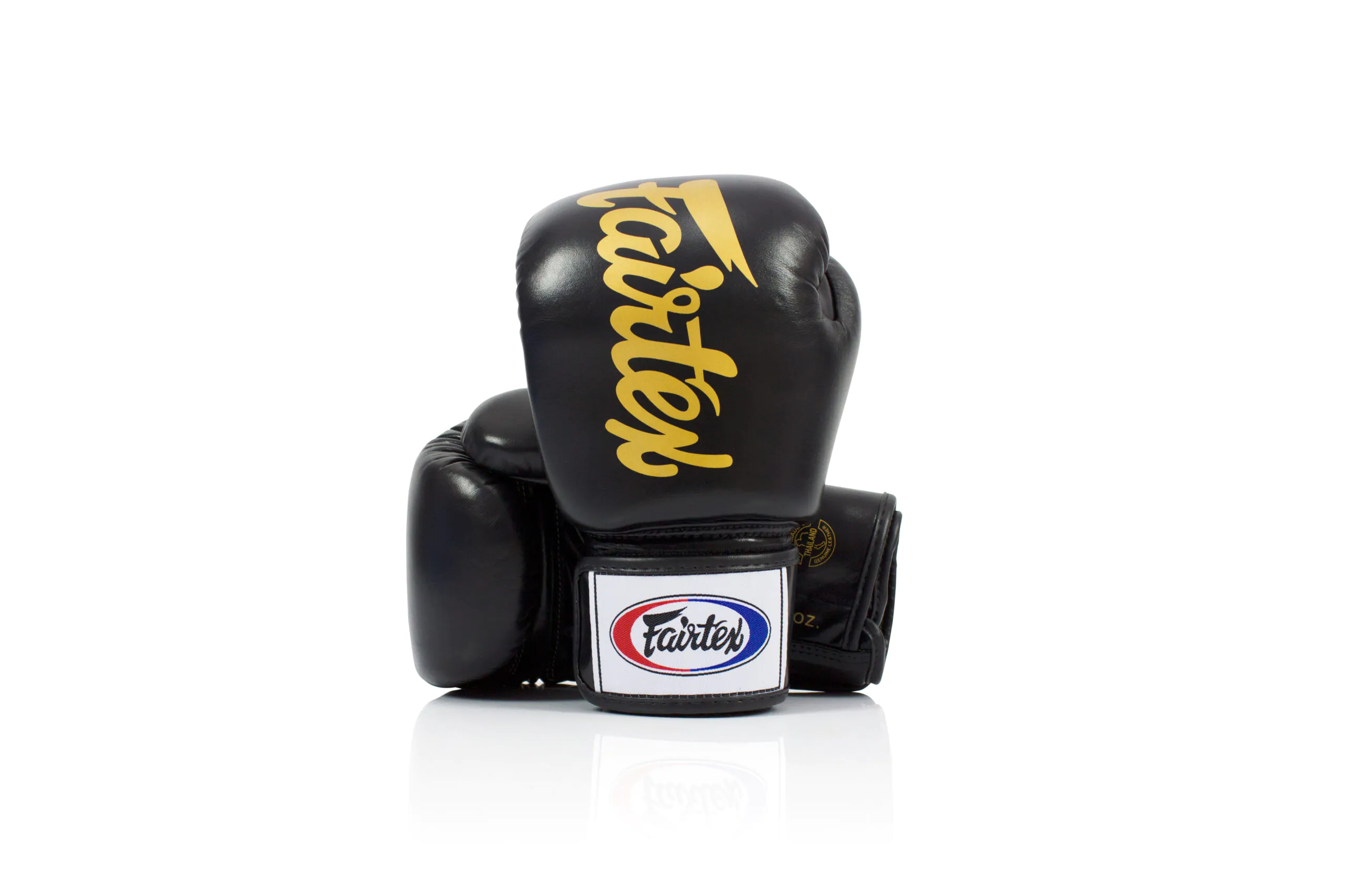 Fairtex BGV19 Gloves Black BGV19 Black Fairtex Deluxe Tight-Fit Gloves