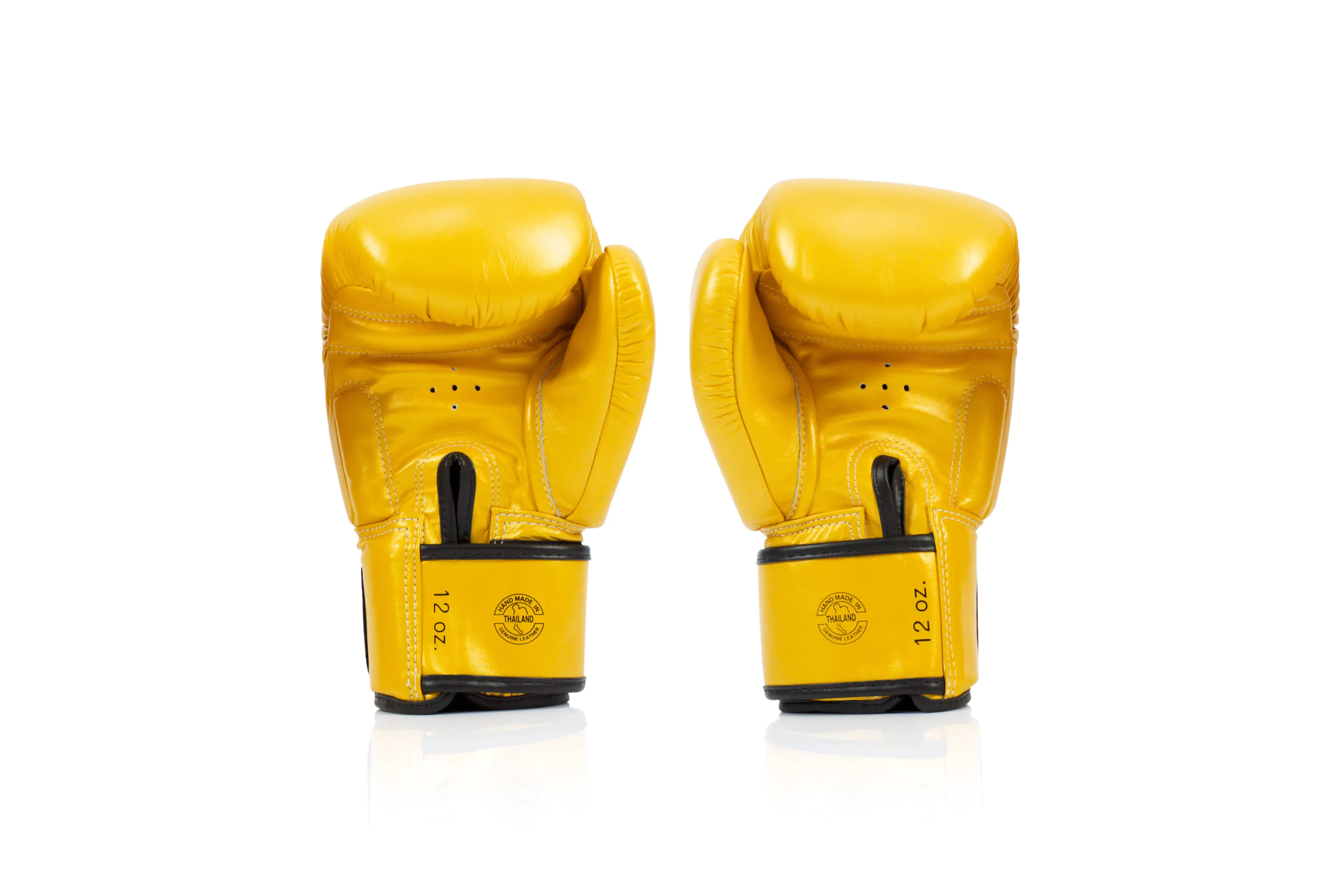 Fairtex BGV19 Boxing Gloves Gold BGV19 Gold Fairtex Deluxe Tight-Fit Gloves