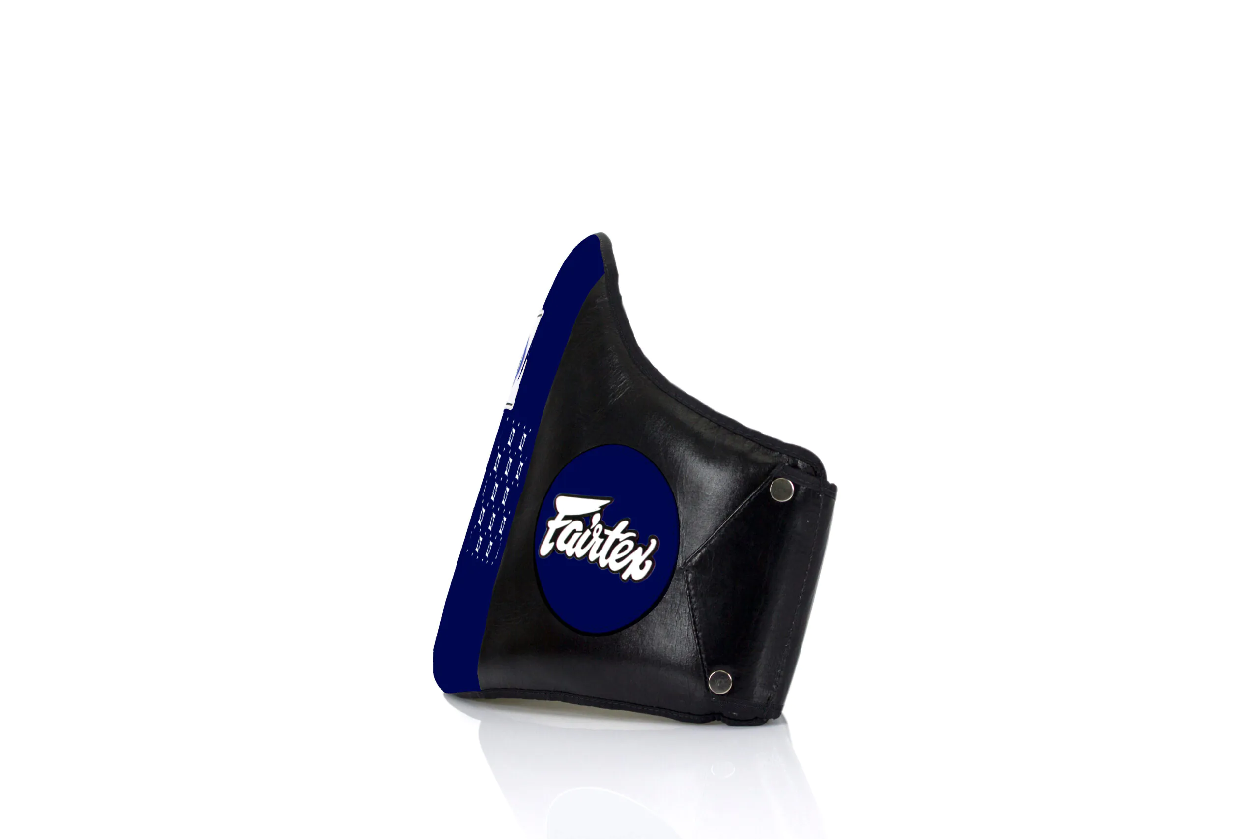 BPV1 BLUE 04 scaled