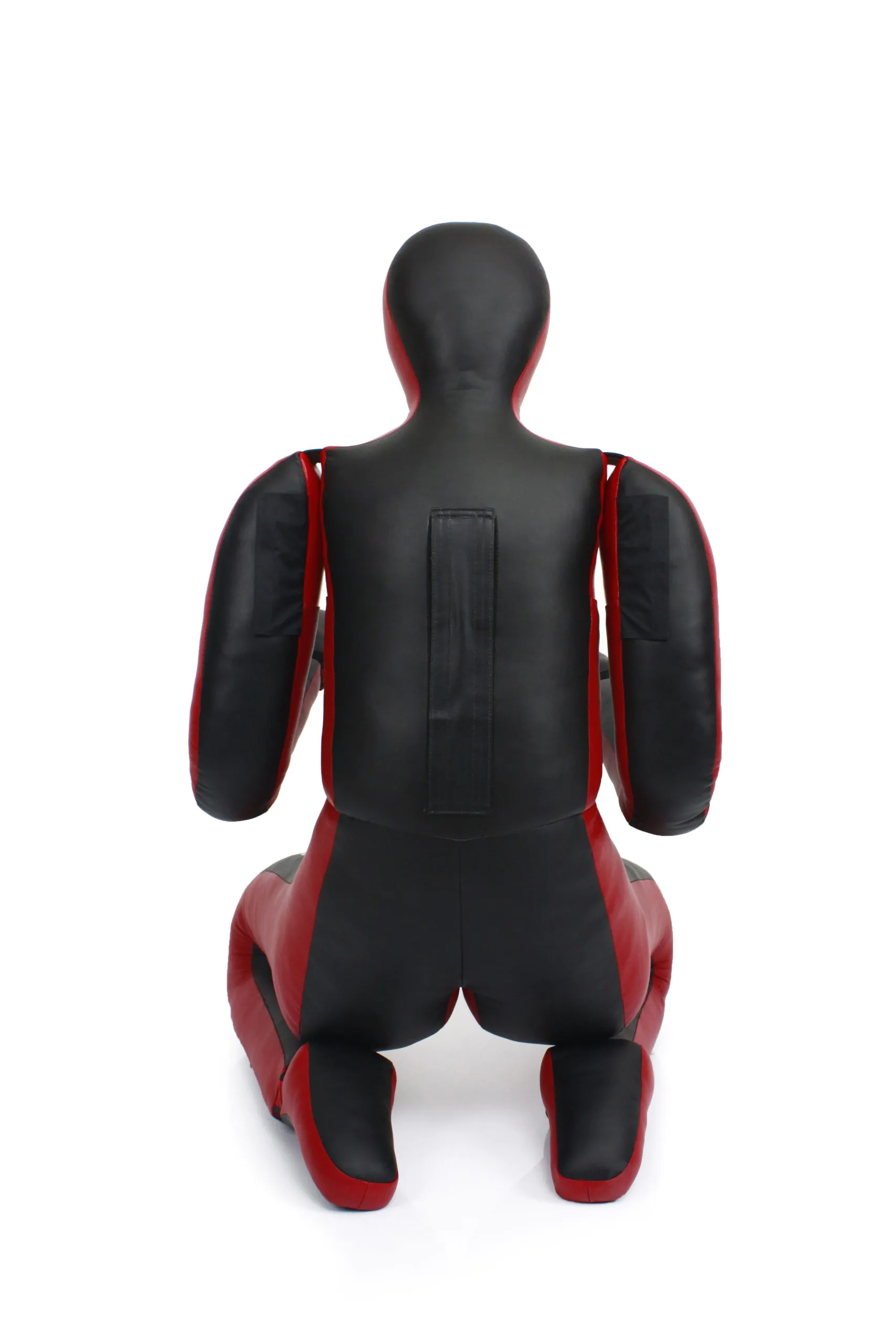 Fairtex-GD2 Fairtex-GD2-Back