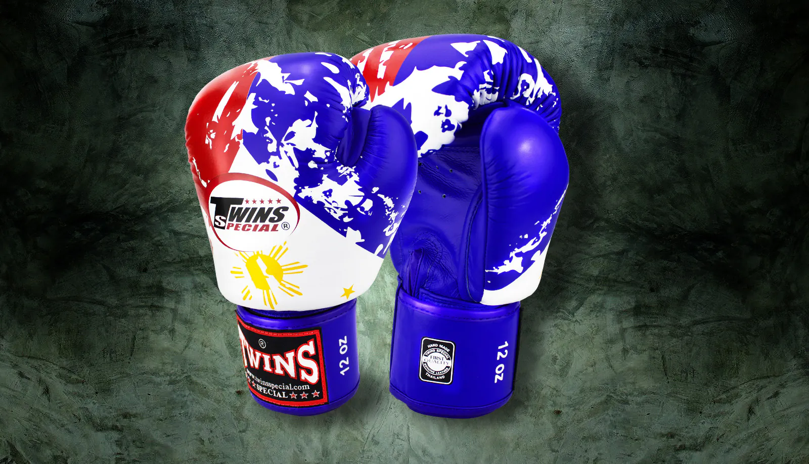 Twins Special Fancy Boxing Gloves FBGV-44 Twins Boxing Gloves-FBGV-44PH