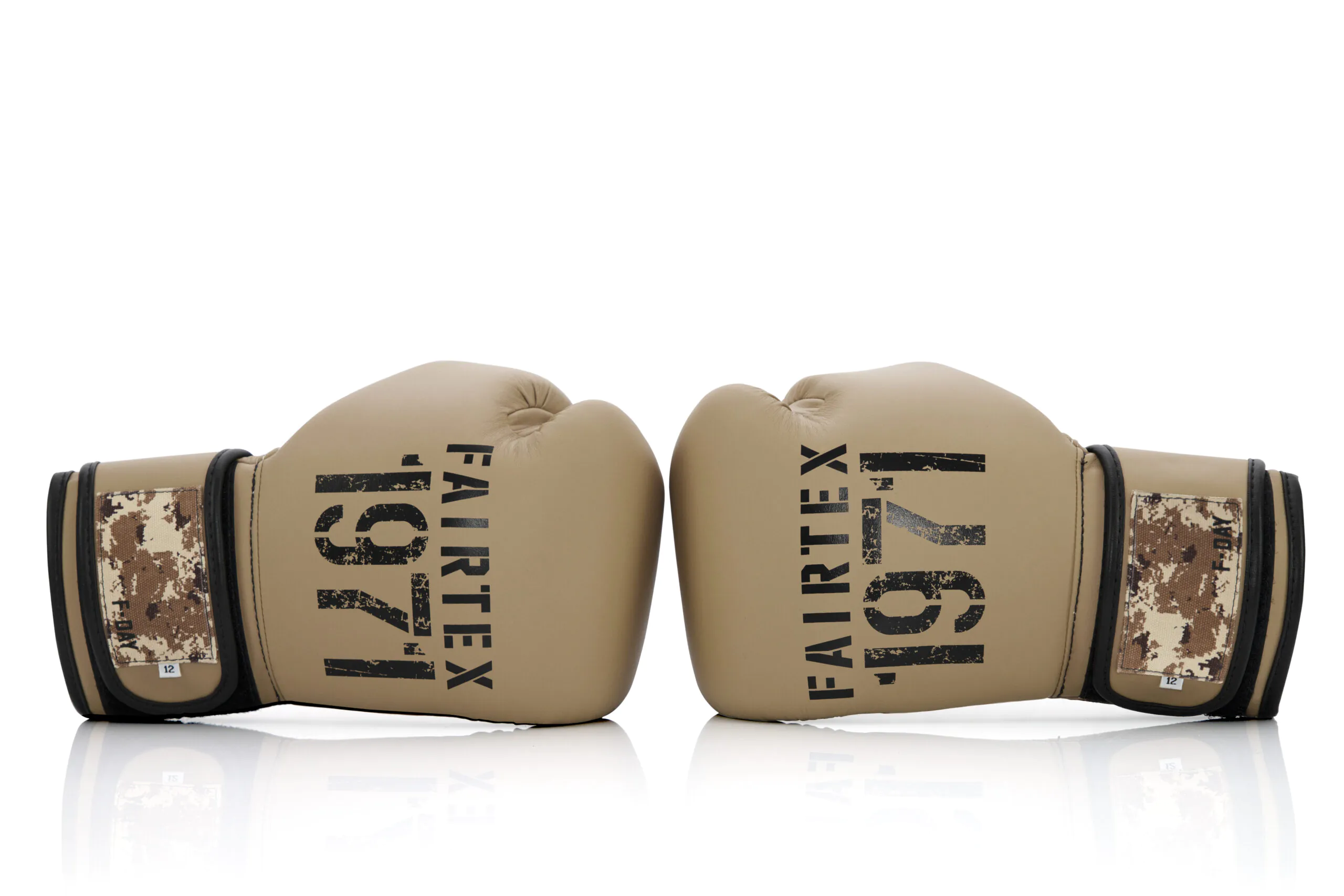 Fairtex BGV25 Boxing Gloves