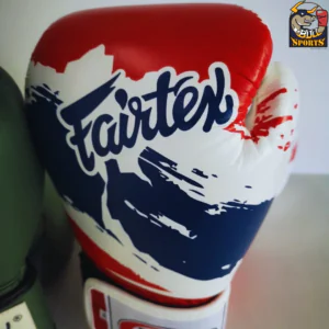 Muay Thai Boxing Gloves Fairtex BGV1