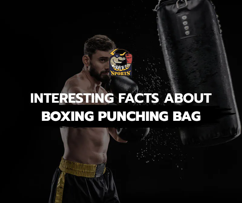 Interesting Facts about Boxing Punching Bag