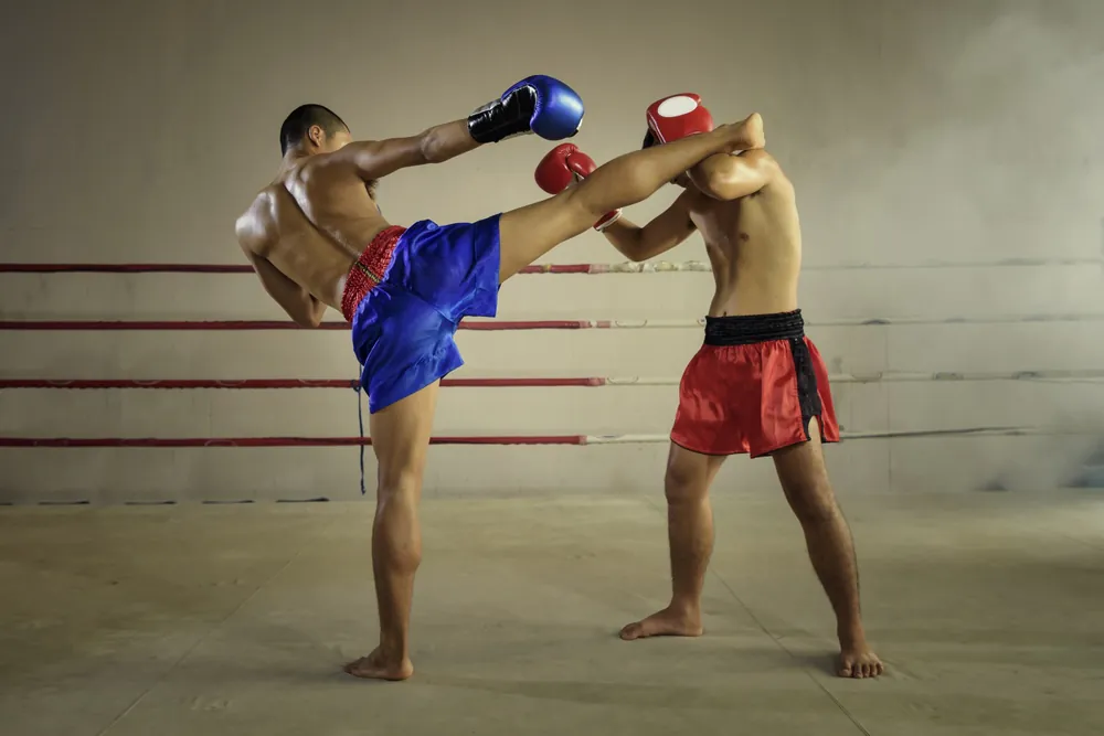 Recommended Muay Thai Gyms in Thailand Recommended Muay Thai Gyms in Thailand