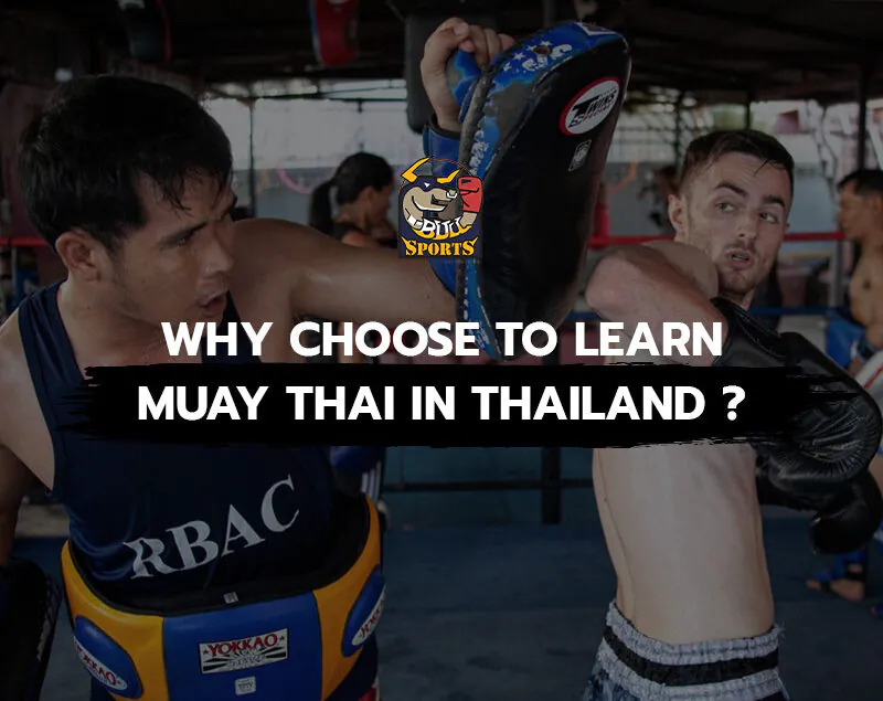 Why Choose to Learn Muay Thai in Thailand ?