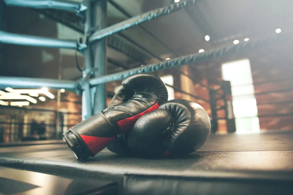 Boxing,Glove,On,Boxing,Ring,In,Gym Benefits of Using High-Quality Boxing Gloves