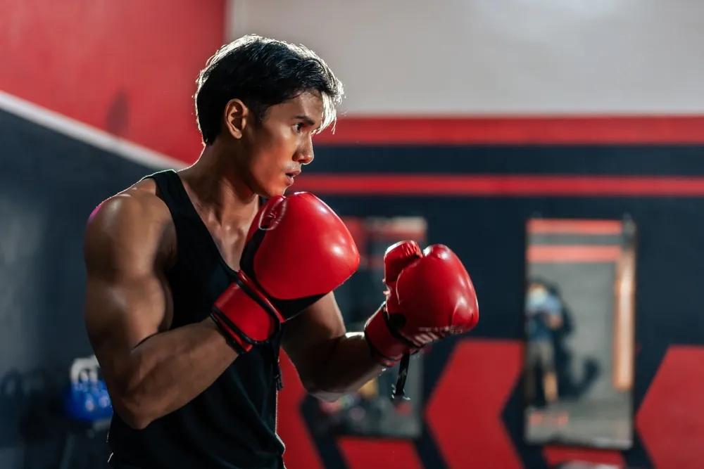 How to Choose the Right Boxing Gloves How to Choose the Right Boxing Gloves