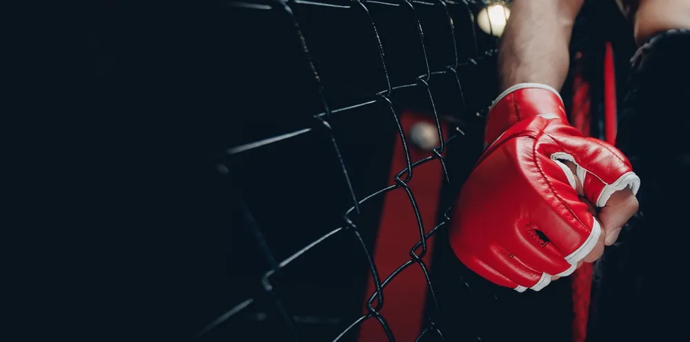 What Makes Muay Thai and MMA Different ? What Makes Muay Thai and MMA Different ?