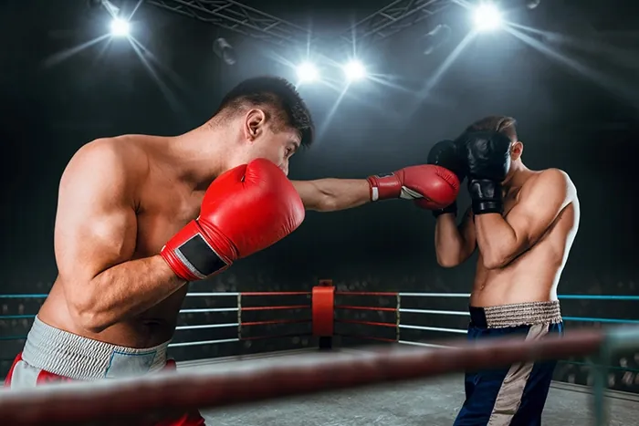 Why Fighters Prefer Premium Gloves